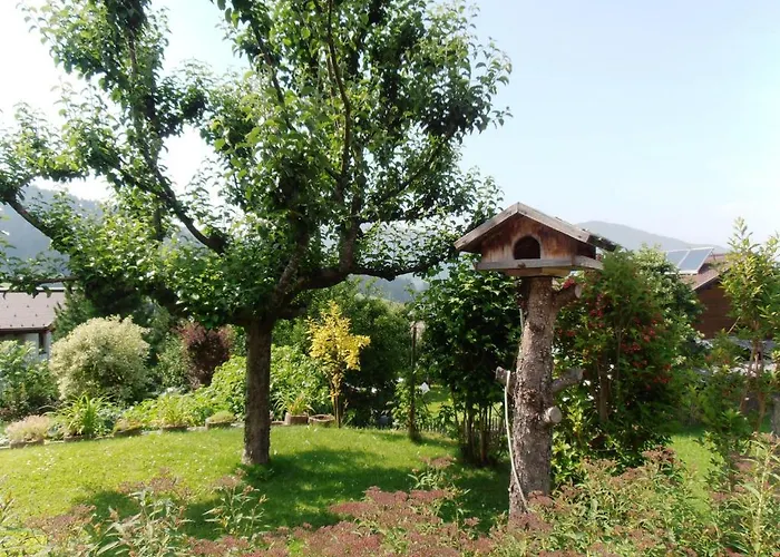 Eva Appartement Flachau