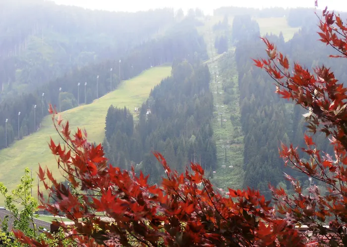 Appartement Eva Flachau